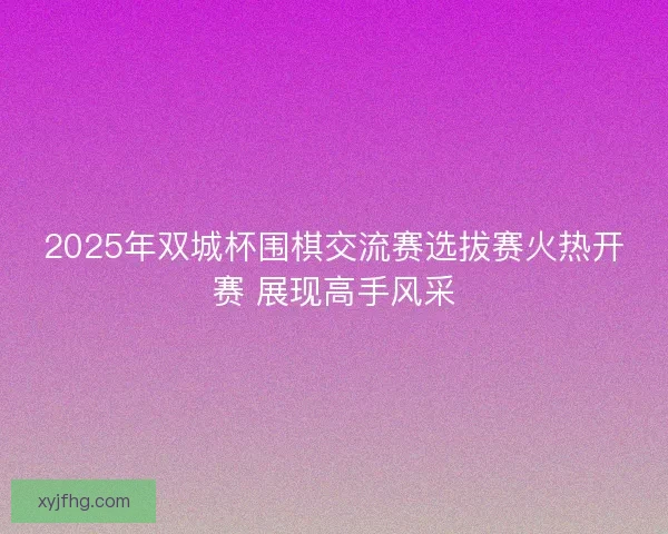 2025年双城杯围棋交流赛选拔赛火热开赛 展现高手风采