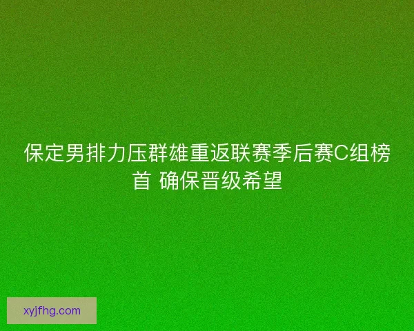 保定男排力压群雄重返联赛季后赛C组榜首 确保晋级希望 保定男排力压群雄重返联赛季后赛C组榜首 确保晋级希望